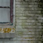 Traitement d'une façade humide